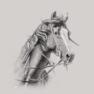LIVE Online Workshop ~ Digital Charcoal Animals (April 13-17)